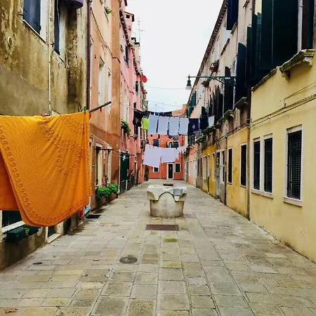 Art's Biennale